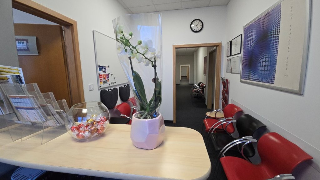 BOHEMIA INSTITUT interiér